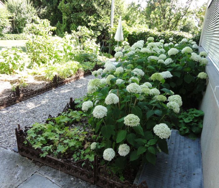 DSC00027